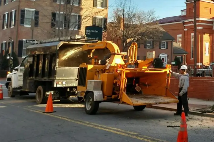 Commercial tree service by Baker Tree Services in Thurmont MD