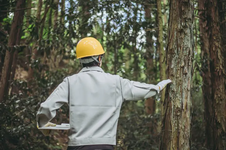 Tree care consulting by Baker Tree Services in Thurmont MD