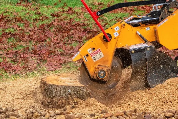 Stump grinder breaking down a stump in Thurmont MD by Baker Tree Services