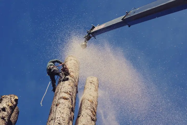 Tree care for municipalities by Baker Tree Services in Thurmont MD