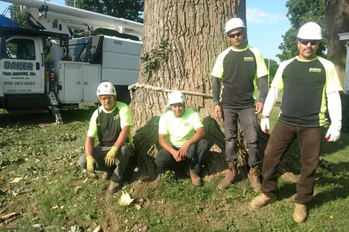 About Baker Tree Services in Thurmont MD