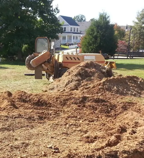 Stump grinding in Thurmont MD by Baker Tree Services