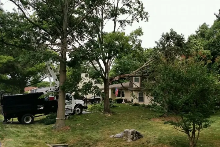 Emergency tree services by Baker Tree Services in Thurmont MD