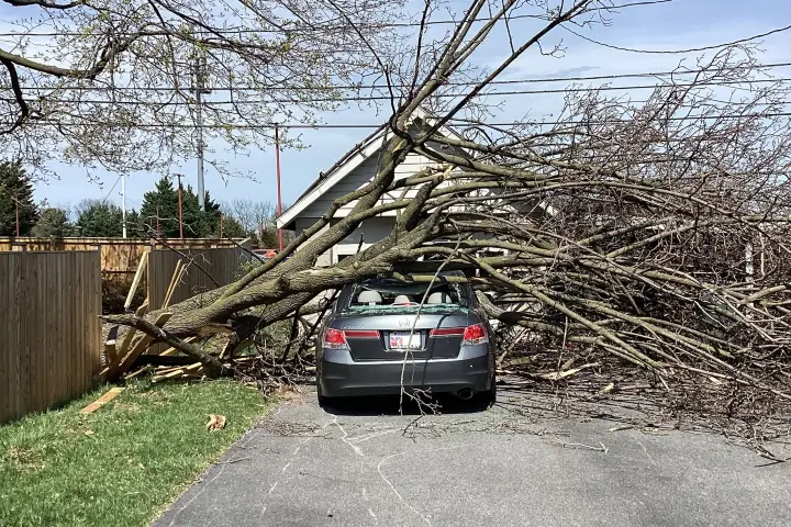 Storm Cleanup Services by Baker Tree Services in Thurmont MD