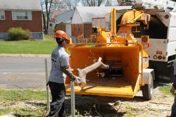 Tree removal services by Baker Tree Services in Thurmont MD
