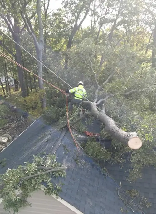 Professional tree emergency expertise by Baker Tree Services in Thurmont MD